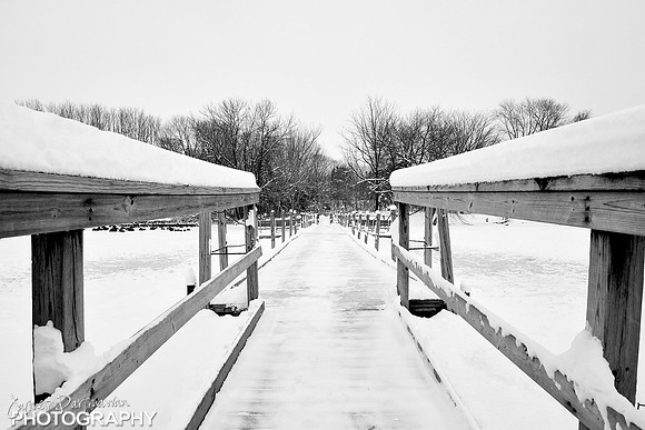 JD6_0081bw1
