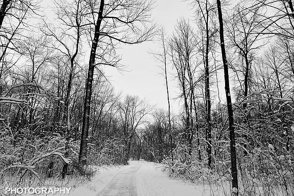 JD6_0136 bw