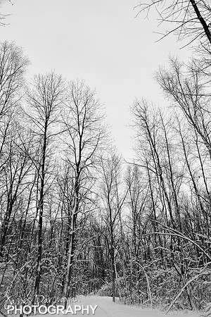 JD6_0131 bw