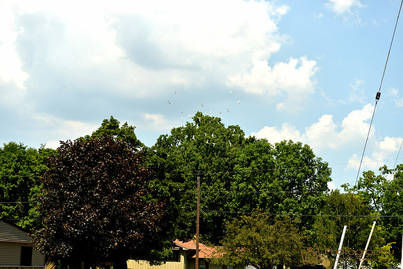 JXD_3522