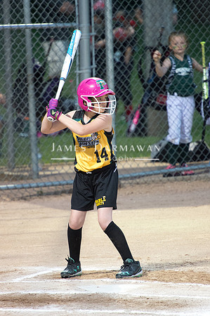 U8 PREBLE SOFTBALL GOLD0174JX4_5567