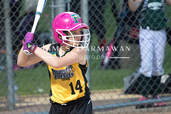 U8 PREBLE SOFTBALL GOLD0175JX4_5567