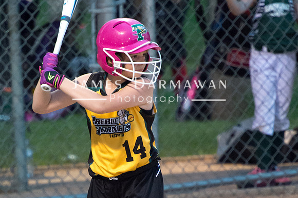U8 PREBLE SOFTBALL GOLD0177JX4_5568