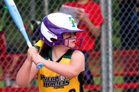 U8 PREBLE SOFTBALL GOLD0012JX4_5306