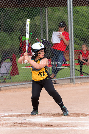 U8 PREBLE SOFTBALL GOLD0016JX4_5316