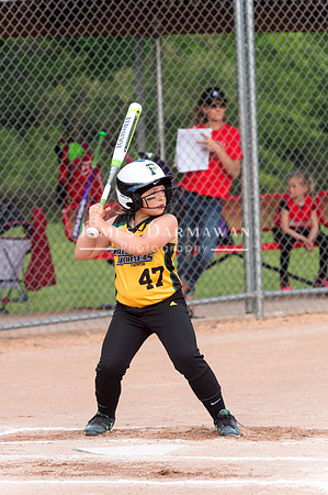 U8 PREBLE SOFTBALL GOLD0017JX4_5317