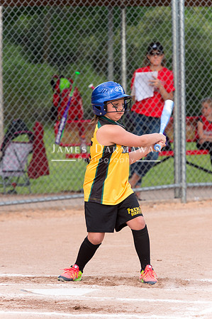 U8 PREBLE SOFTBALL GOLD0031JX4_5331