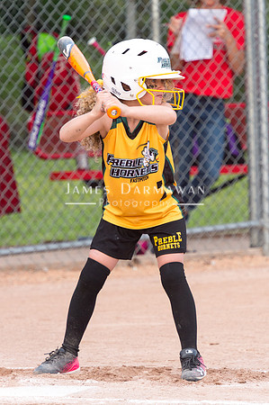 U8 PREBLE SOFTBALL GOLD0034JX4_5335