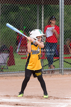 U8 PREBLE SOFTBALL GOLD0041JX4_5341