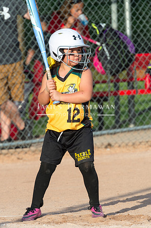 U8 PREBLE SOFTBALL GOLD0062JX4_5369