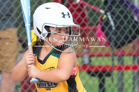 U8 PREBLE SOFTBALL GOLD0064JX4_5371