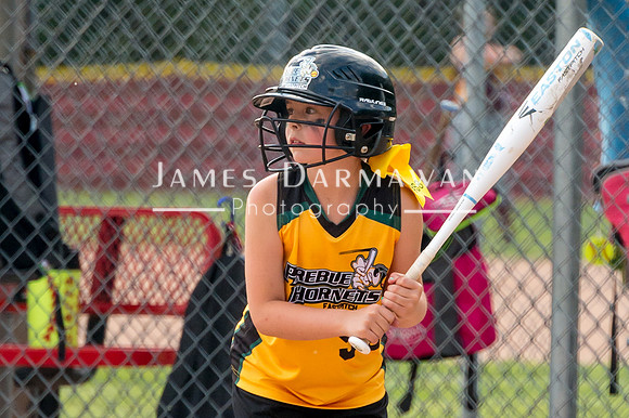 U8 PREBLE SOFTBALL GOLD0072JX4_5386