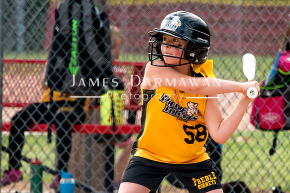 U8 PREBLE SOFTBALL GOLD0075JX4_5387