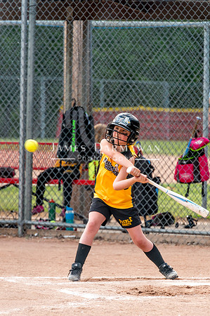 U8 PREBLE SOFTBALL GOLD0076JX4_5388