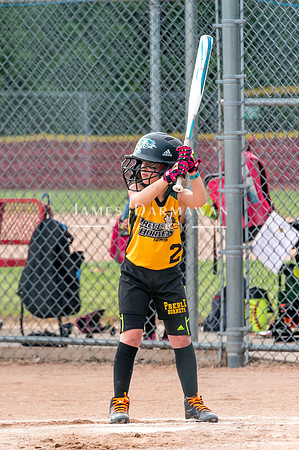 U8 PREBLE SOFTBALL GOLD0078JX4_5391