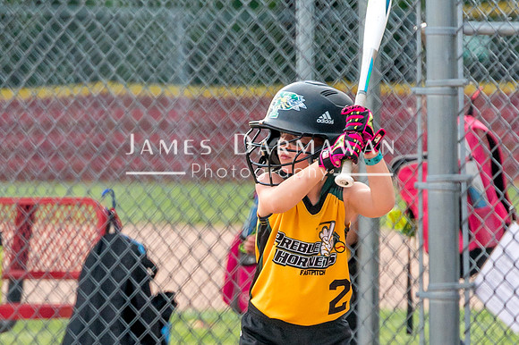 U8 PREBLE SOFTBALL GOLD0079JX4_5391