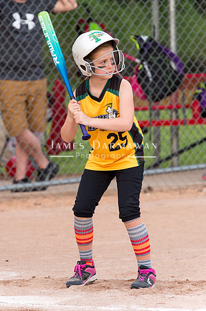 U8 PREBLE SOFTBALL GOLD0084JX4_5403