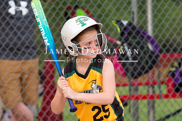 U8 PREBLE SOFTBALL GOLD0085JX4_5403