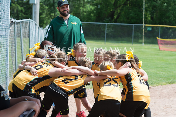 U8 PREBLE SOFTBALL GOLD0104JX4_5438