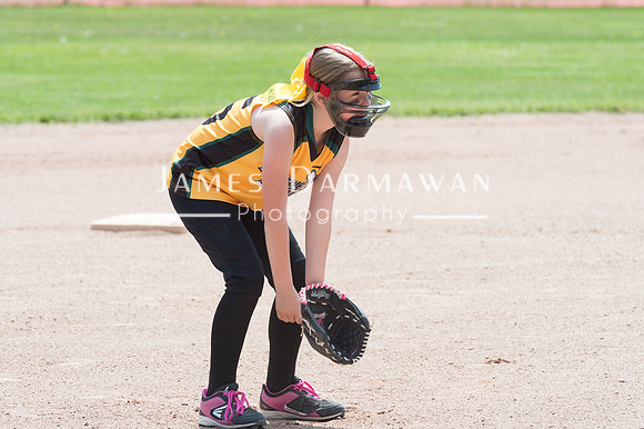 U8 PREBLE SOFTBALL GOLD0122JX4_5462