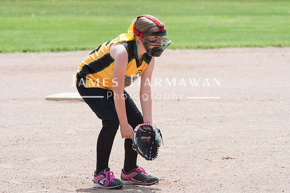 U8 PREBLE SOFTBALL GOLD0123JX4_5463