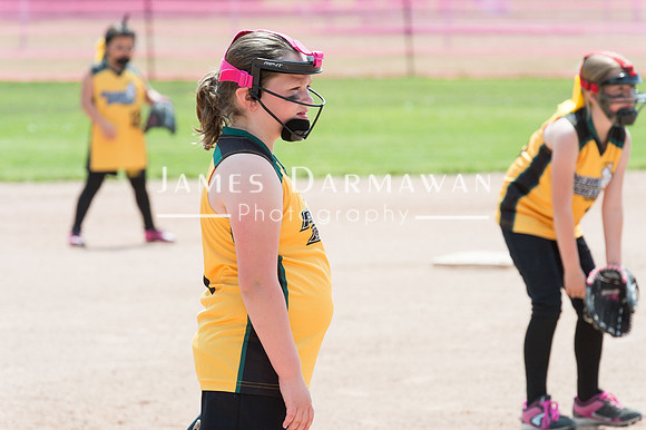 U8 PREBLE SOFTBALL GOLD0124JX4_5464