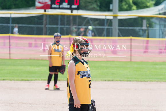U8 PREBLE SOFTBALL GOLD0125JX4_5466