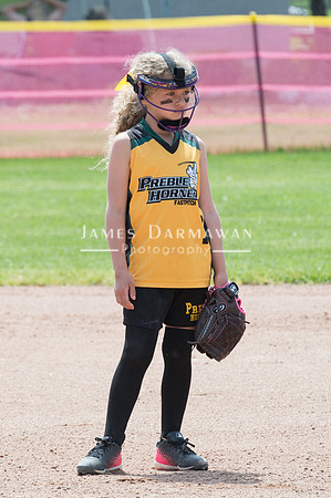 U8 PREBLE SOFTBALL GOLD0126JX4_5467
