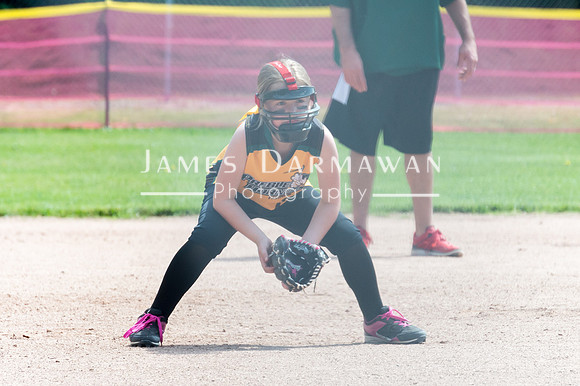 U8 PREBLE SOFTBALL GOLD0127JX4_5468