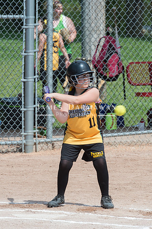 U8 PREBLE SOFTBALL GOLD0129JX4_5471