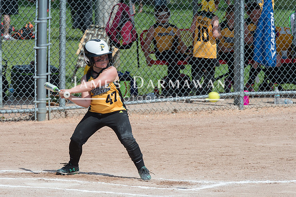 U8 PREBLE SOFTBALL GOLD0133JX4_5478