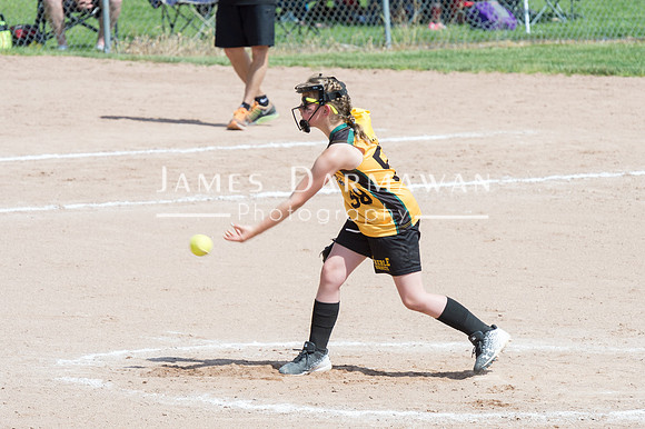 U8 PREBLE SOFTBALL GOLD0141JX4_5487