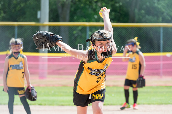 U8 PREBLE SOFTBALL GOLD0156JX4_5510