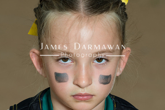 U8 PREBLE SOFTBALL GOLD0221JD8_1388