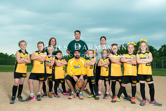U8 PREBLE SOFTBALL GOLD0233JD8_1411