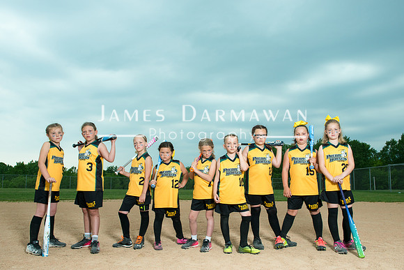 U8 PREBLE SOFTBALL GOLD0234JD8_1413