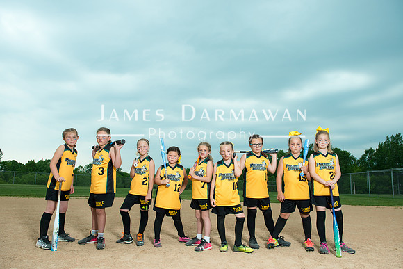U8 PREBLE SOFTBALL GOLD0235JD8_1416-2