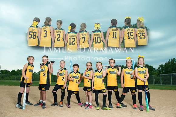 U8 PREBLE SOFTBALL GOLD0236JD8_1416-3
