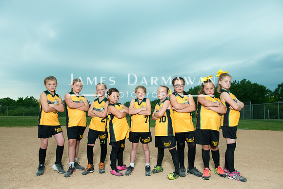 U8 PREBLE SOFTBALL GOLD0239JD8_1446