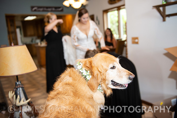 Alex and Brandon  (5 of 556)