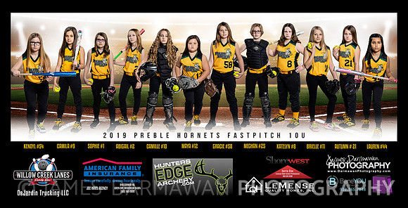 2019 preble softball banner small