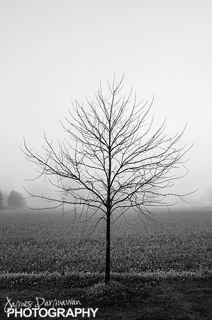 JX4_0378