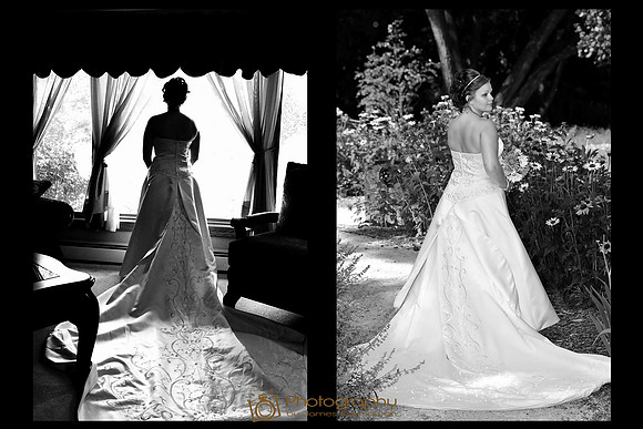 Brides trains